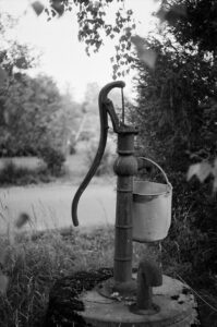 A black and white image of a rusted water pump and bucket in a lush outdoor environment.