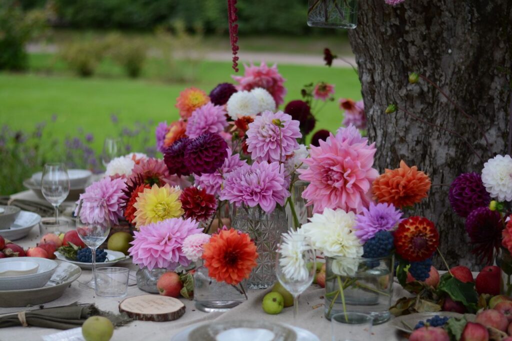 Colorful table setting with dahlias and fruits in a lush garden.