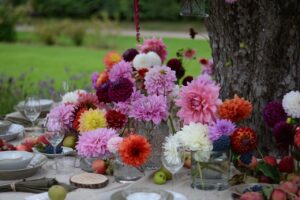 Colorful table setting with dahlias and fruits in a lush garden.